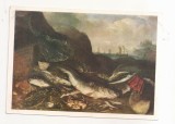 FA96 -Carte Postala- RUSIA - State Hermitage Museum - Abraham van Beyeren, Fish on the shore, necirculata 1969