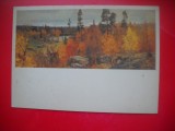 HOPCT 23682 TOAMNA DE AUR IN KARELIA 1952-V V MESHKOV 1893-1963 - RUSIA --MUZEE - CP PICTURA --NECIRCULATAMUNTII