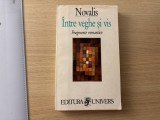 Novalis, Intre veghe si vis