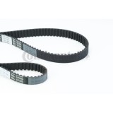 Continental Ctam Curea de distributie