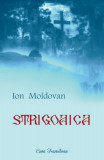 Strigoaica | Ion Moldovan, 2021