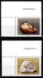 Romania 2006, LP 1739 c, Emisiune comuna Franta - Romania, Constantin Brancusi, colturi de coala, MNH!
