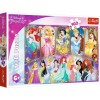 PUZZLE 160 PORTRETELE PRINTESELOR, Trefl