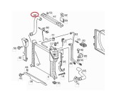 Furtun radiator Mercedes Sprinter 2000-2006, Sprinter 1995-2000, diametru 37/47 mm, cauciuc, inferior, RapidAuto 5062PW-1