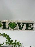 Decor cu licheni ,cu textul LOVE