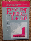 PROBLEME DE FIZICA PENTRU LICEU - Gabriela Cone (Vol. I)