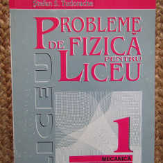 PROBLEME DE FIZICA PENTRU LICEU - Gabriela Cone (Vol. I)