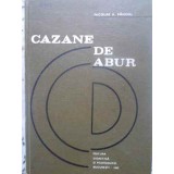 CAZANE DE ABUR-NICOLAE A. PANOIU-231602