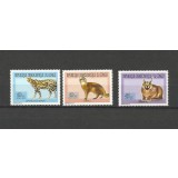 DR CONGO 2011 FAUNA FELINE