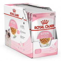 Royal Canin KITTEN Instinctive in Jelly 12 x 85 g - hrană cu jeleu în ambalaj de aluminiu