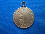 MEDALIE SALZBURG