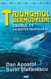 Triunghiul bermudelor. Zborul 19. Un mister nedezlegat - 2020 - Sorin Stefanescu (H192), Dexon