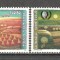 O.N.U.Geneva 1995 10 ani Anul international al tineretului SN.606
