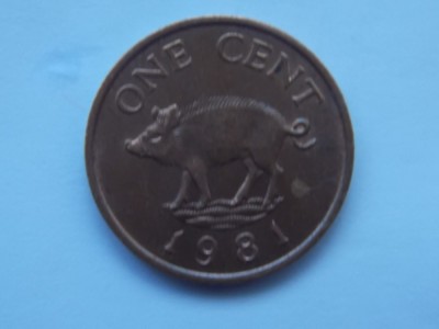 ONE CENT 1981 BERMUDA foto