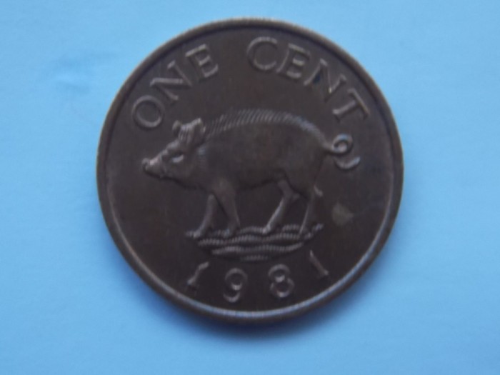 ONE CENT 1981 BERMUDA