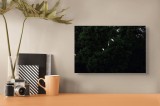 Tablou Canvas Păsări &icirc;n Verdeață și Arbori - Armonie Naturală, 39 x 26 cm, CMCLASS