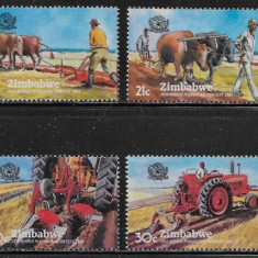 ZIMBABWE 1983 AGRICULTURA BOVINE VACI TRACTOARE