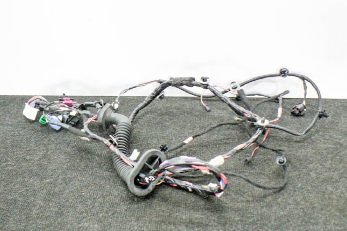 Cablaj ușă dreapta față TESLA MODEL 3 2018 OEM: 1067963-00-D 11374184