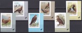 DB1 Fauna Pasari Tadjikistan 2007 6 v. MNH NDT., Nestampilat