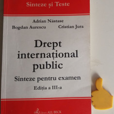 Drept international public Sinteze pentru examen Adrian Nastase Cristian Jura