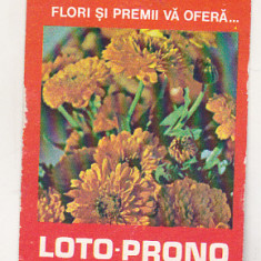 bnk cld Calendar de buzunar 1981 - Loto Prono