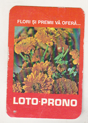bnk cld Calendar de buzunar 1981 - Loto Prono
