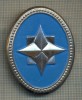 Y 1556 INSIGNA-MILITARA-EMBLEMA COIFURA-SRI -LIPSA CLEMA-PENTRU COLECTIONARI