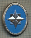 Y 1556 INSIGNA-MILITARA-EMBLEMA COIFURA-SRI -LIPSA CLEMA-PENTRU COLECTIONARI