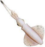 Naluca SAVAGE GEAR Swim Squid LRF, Cuttlefish, 0.8g, 5cm, 5buc/pac
