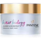 Pantene Hair Biology Cleanse &amp; Reconstruct Masca de par pentru par gras 160 ml
