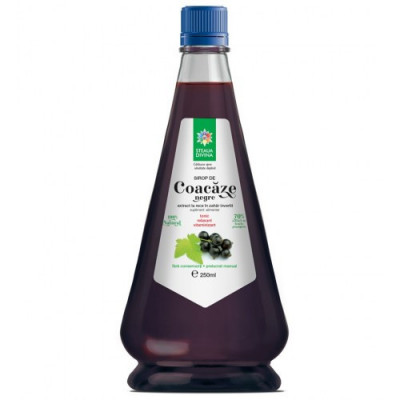 Sirop Coacaz Negru Santo Raphael 250ml foto