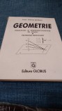 ELENA SERBAN--GEOMETRIE