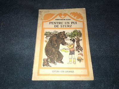 CONSTANTIN CLISU - PENTRU UN PUI DE STURZ foto