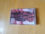 Cannibal Corpse, Gallery of Suicide - rock, death metal, grindcore