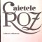 CAIETELE ROZ (PRIMA EDITIE)-DUMITRU TRANCA-268249