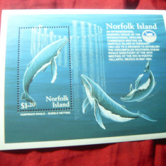 Bloc Norfolk Isl. - 1995 - Fauna marina - Balene