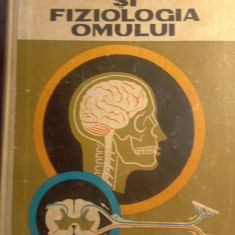 Anatomia și fiziologia omului,Viorica Stănescu,manual clasa XI,