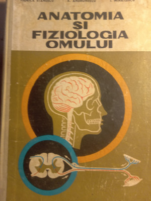 Anatomia și fiziologia omului,Viorica Stănescu,manual clasa XI, foto