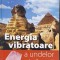 Energia vibratoare a undelor de forma - Jean-Paul Ronecker