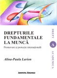 Drepturile fundamentale la munca. Promovare si protectie internationala - Alina Paula Larion - Editura Institutul European