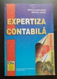 Expertiza contabilă - Mircea Boulescu, Marcel Ghiță