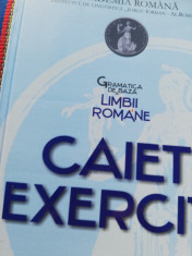 Gramatica de baza caiet exerci?ii academia romana foto