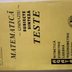 Matematica gimnaziu subiecte sinteze teste E.I. Nedita 1995