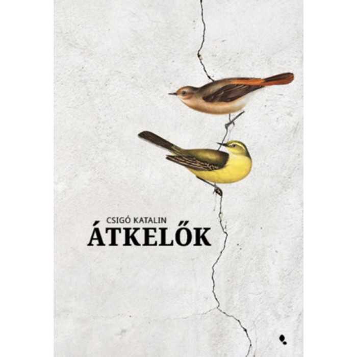 &Aacute;tkelők - Csig&oacute; Katalin