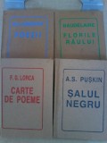 Poezii - Lorca, Baudelaire, Lermontov, Puskin (editie liliput)