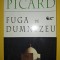Max Picard - Fuga de Dumnezeu