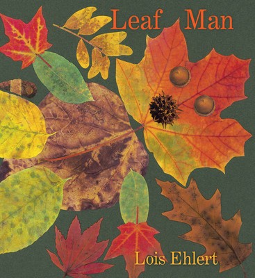 Leaf Man Board Book foto