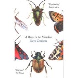 A Buzz in the Meadow