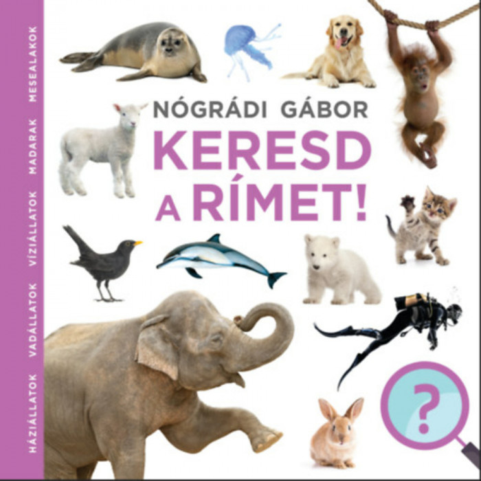 Keresd a r&iacute;met - N&oacute;gr&aacute;di G&aacute;bor