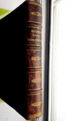 F64-I-Enciclopedie FLUTURII din EUROPA 1894 carte veche Germania- Stuttgart. foto